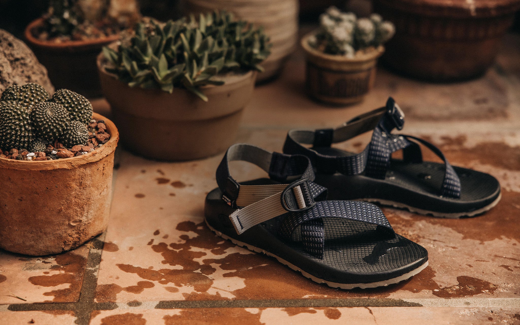 Taylor Stitch x Chaco Sandal Collaboration Granola Taylor